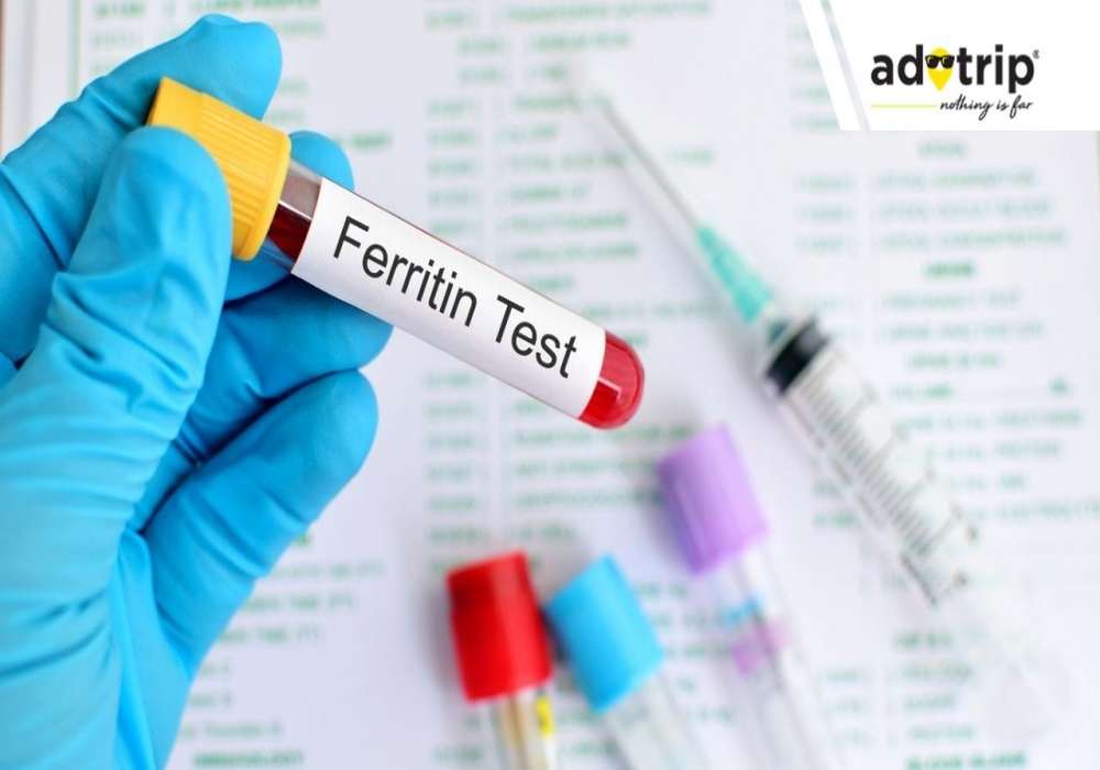 ferritin blood test cost in india